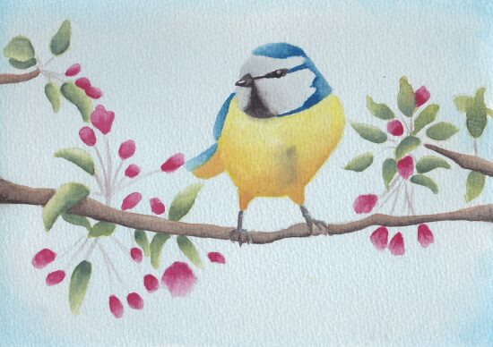 Oiseau